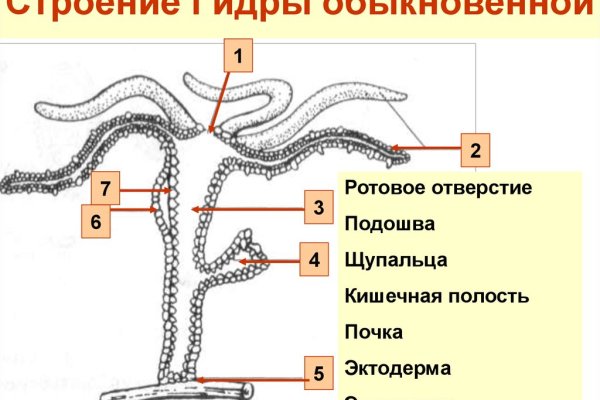 Мефедрон цена